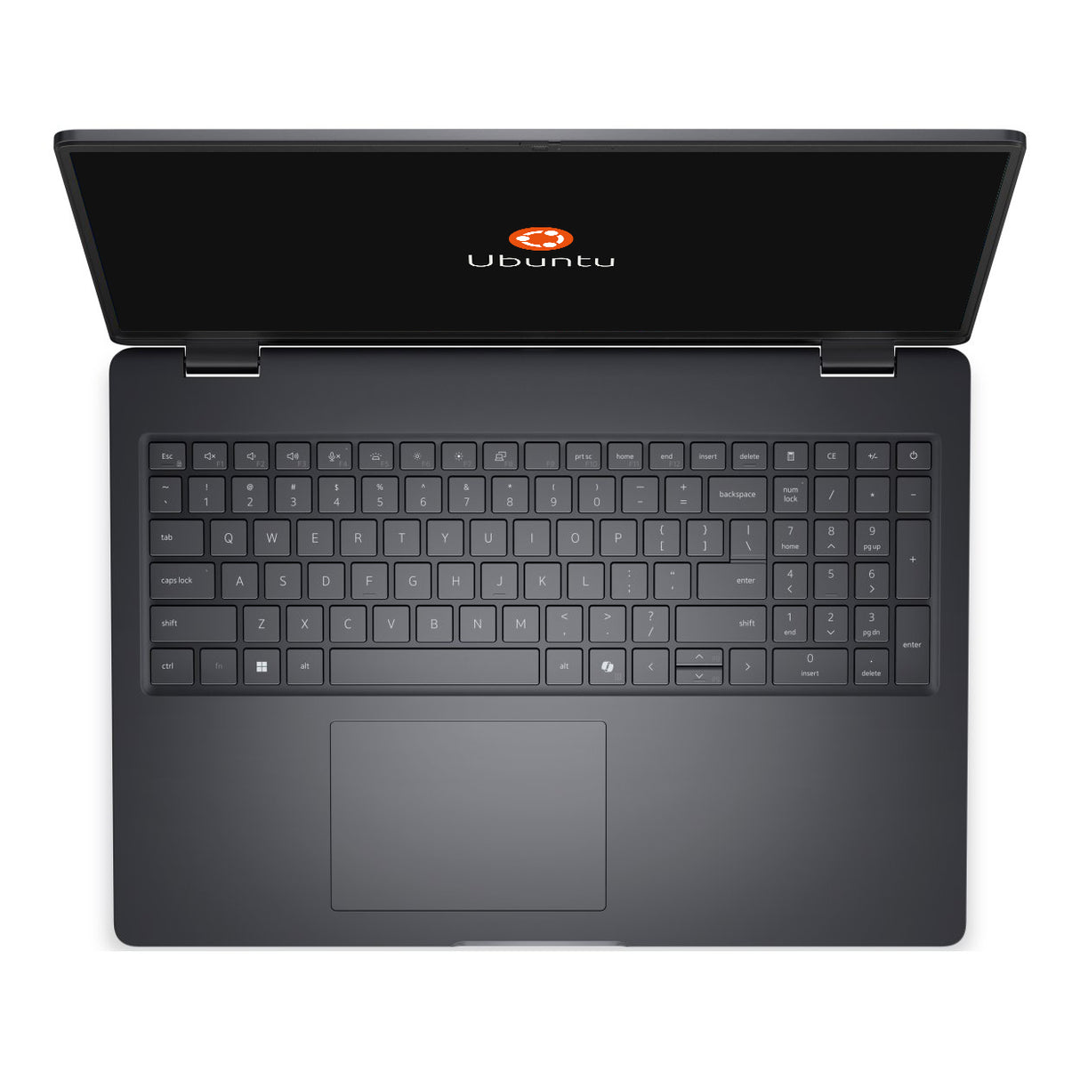 BTO006_PC16250_UBU-AR